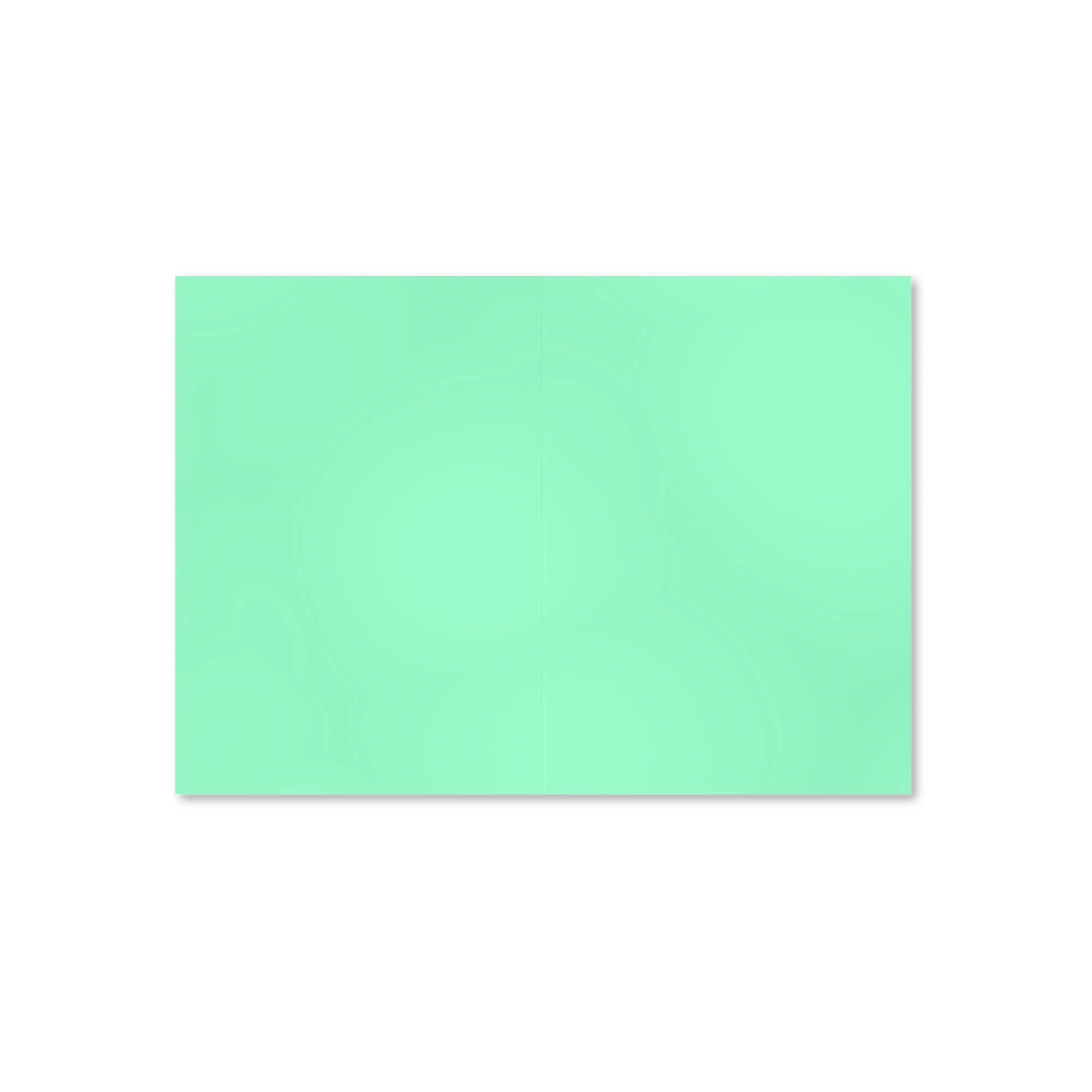 Productafbeelding 21