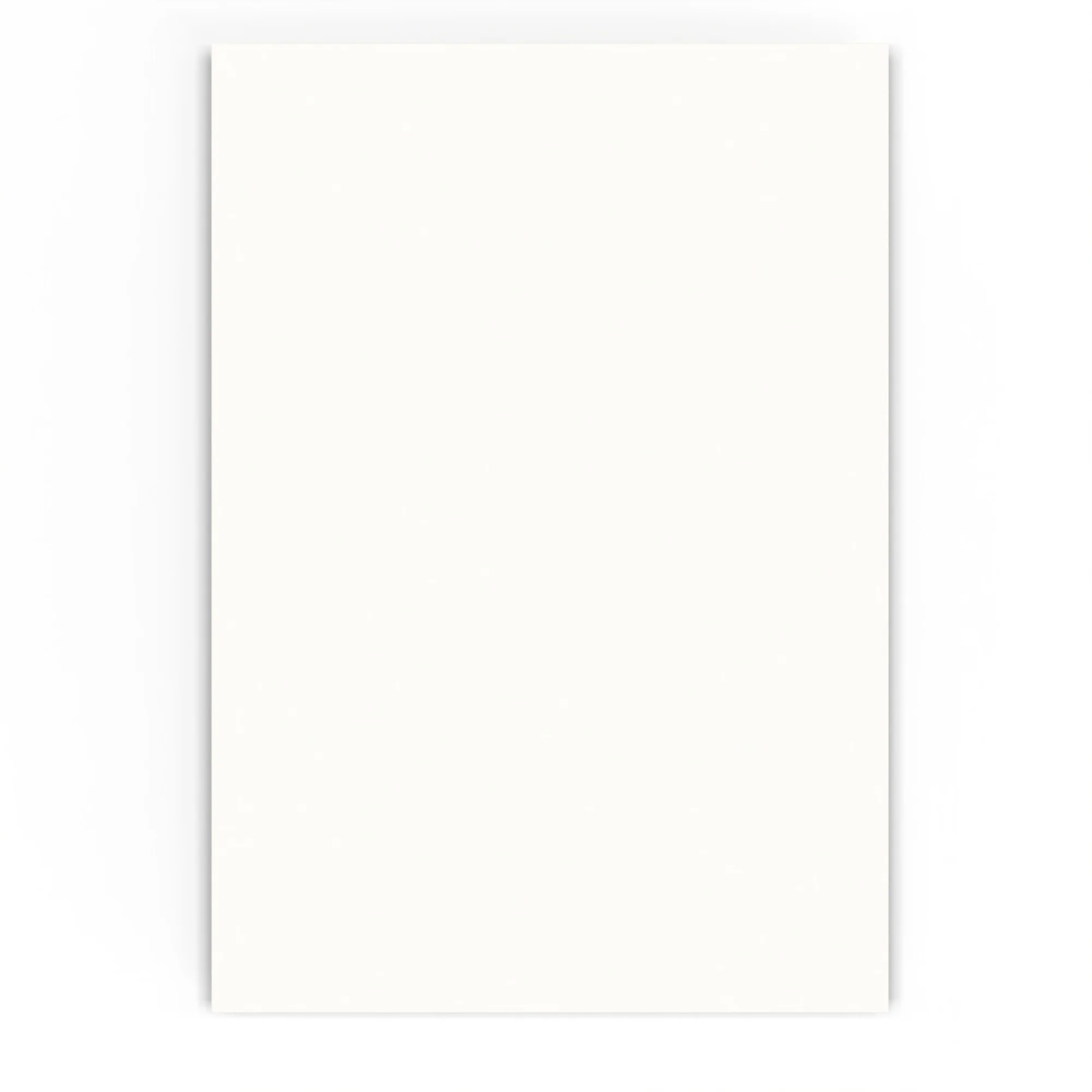 Productafbeelding 24